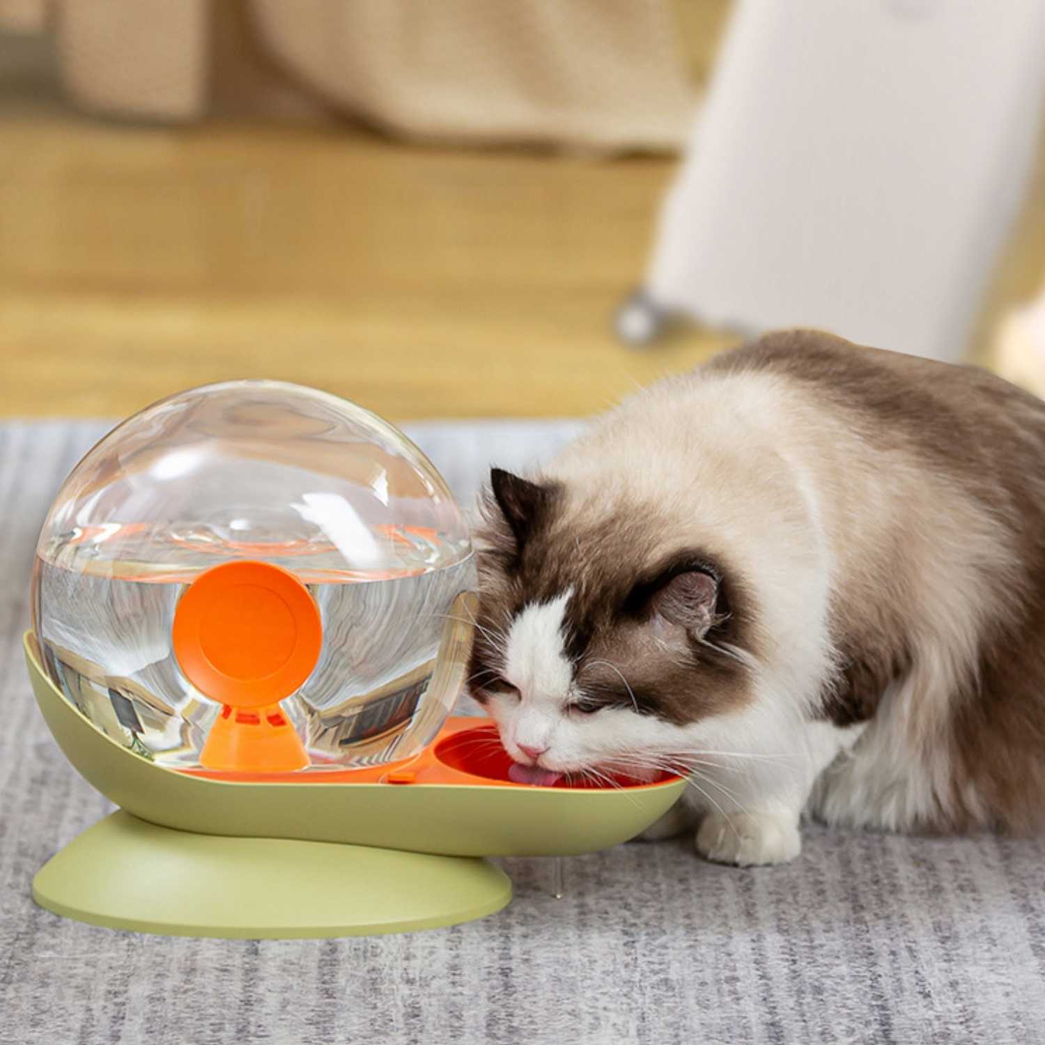 slakken drinkfontein kat kat drinkt uit oranje groene waterfontein