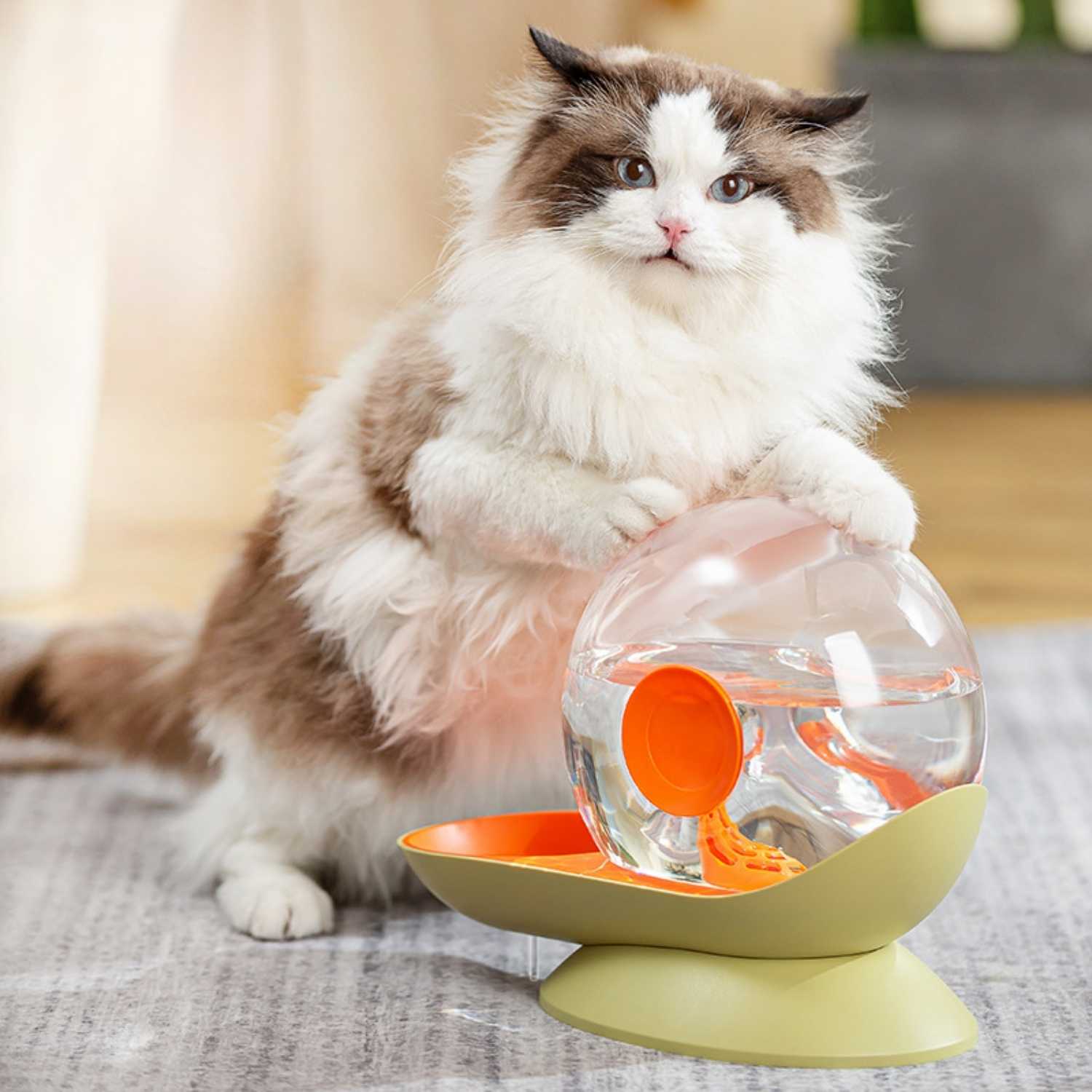 slakken drinkfontein kat kat speelt met oranje groene waterfontein