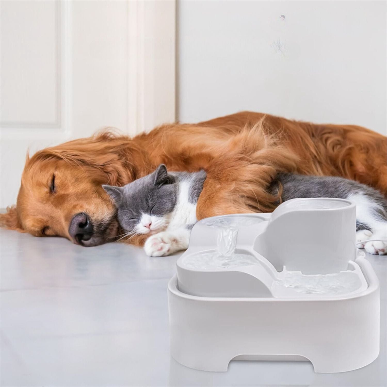 slapende kat hond waterfontein voor huisdieren