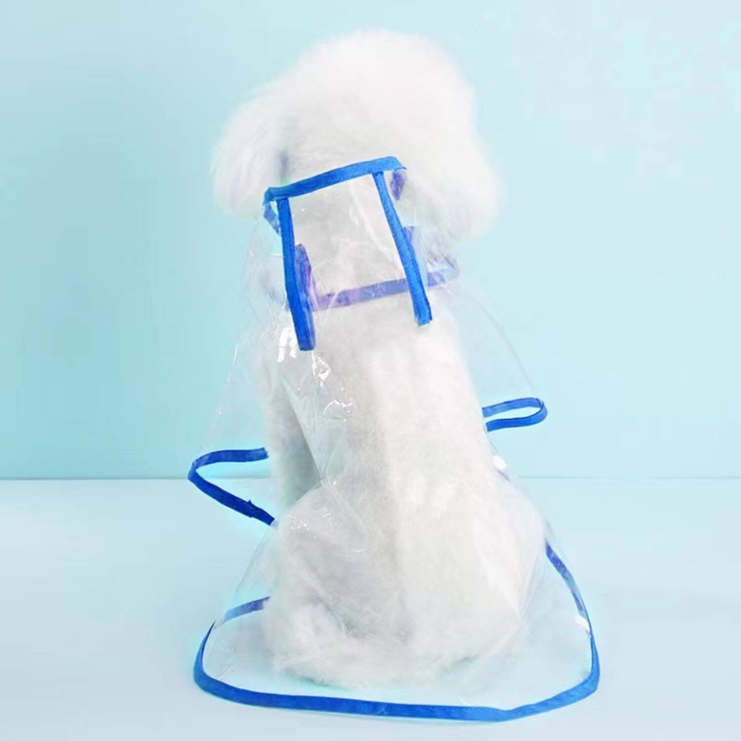 transparante hondenregenjas met witte poedel blauwe afwerking
