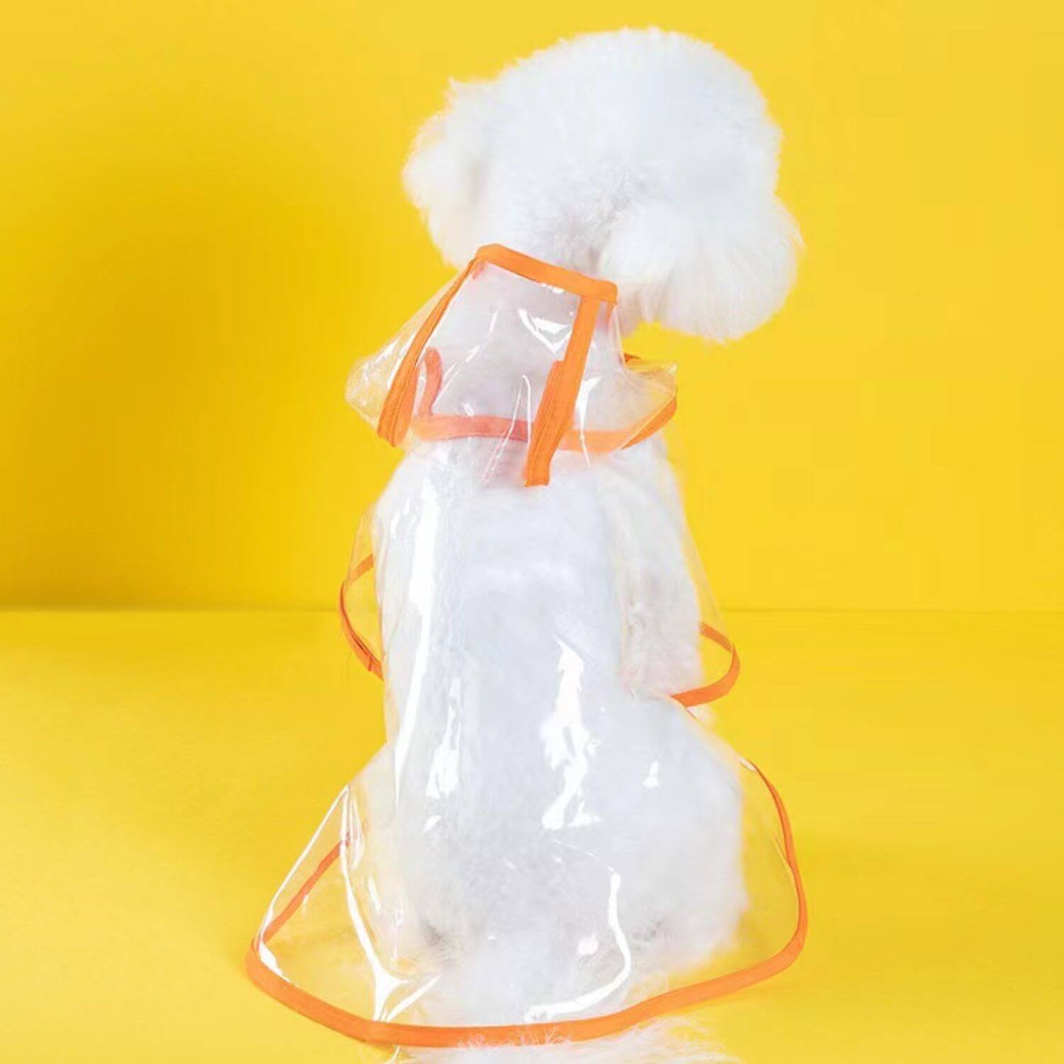 transparante hondenregenjas met witte poedel op gele achtergrond