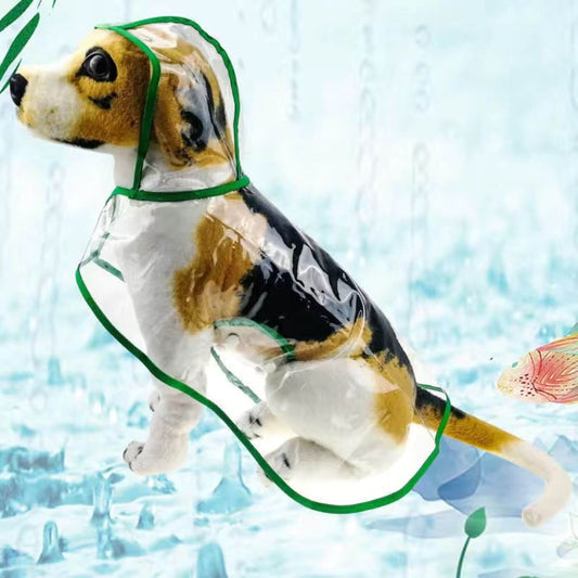 transparante hondenregenjas op bruine witte hond op ijs achtergrond