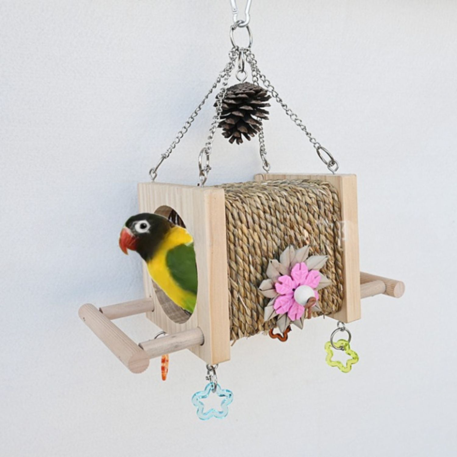 vogelkooi kauw tunnel hangend met papegaai aan inkijkgat