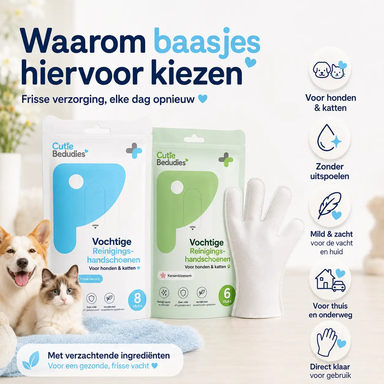 Vochtige Handschoenen voor Honden en Katten 6 stuks 🐾 Stapelkorting 🐾