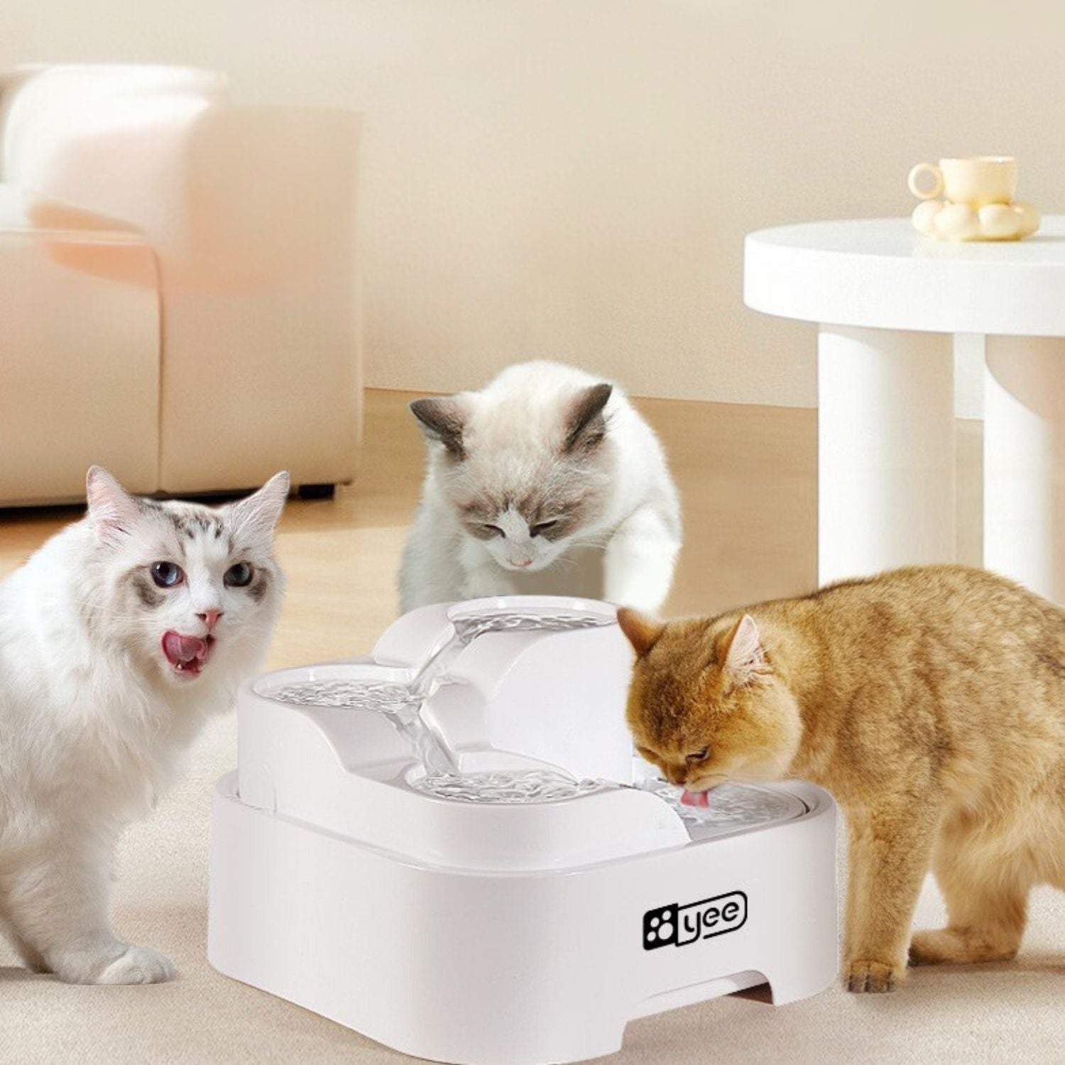 waterfontein huisdieren katten groepsdrinken gefilterd water