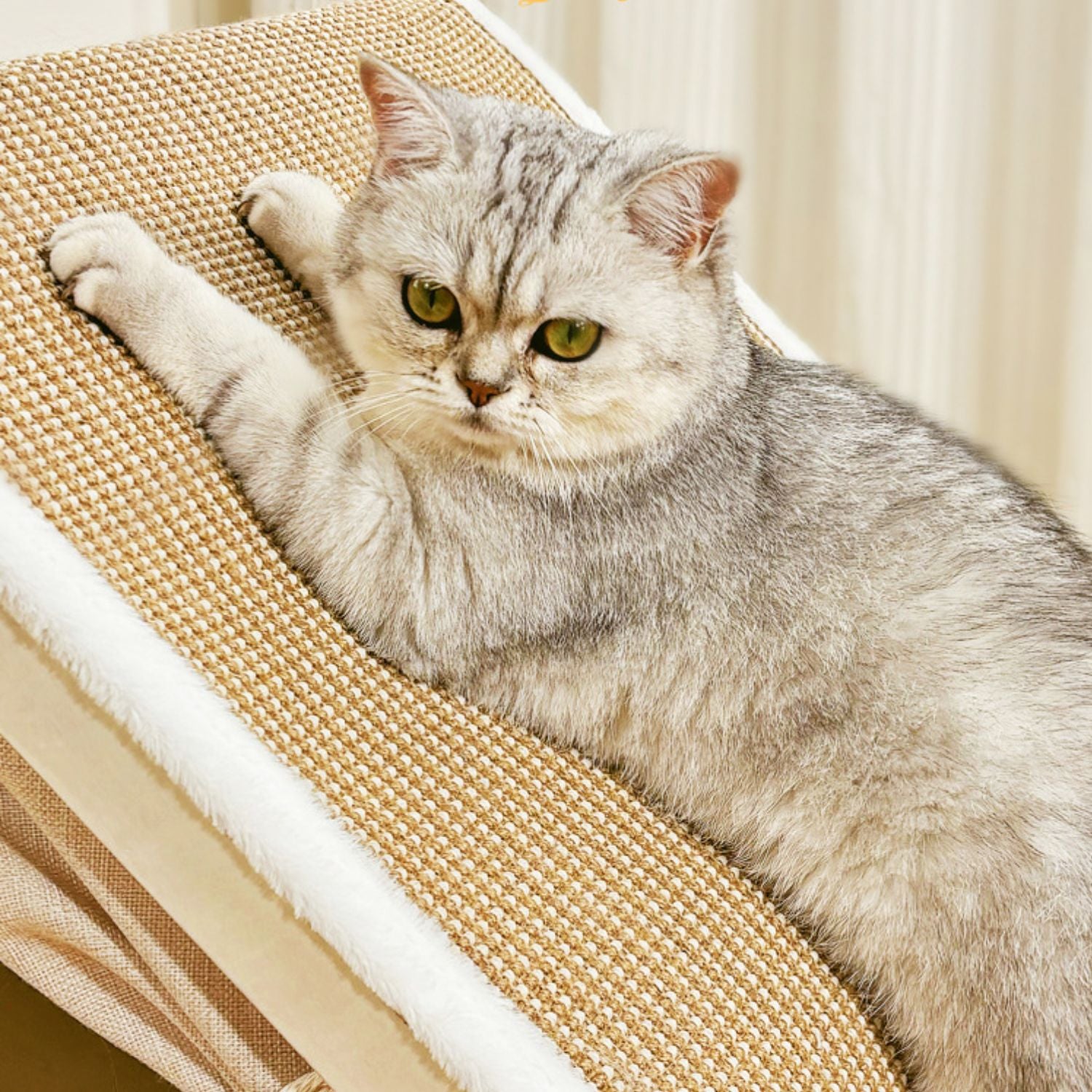 winter warme kattenbed zacht katoen