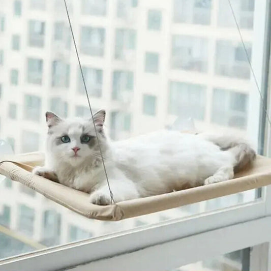 zuignap kattenhangmat kat liggend in hangmat met stad uitzicht zacht duurzaam ademend