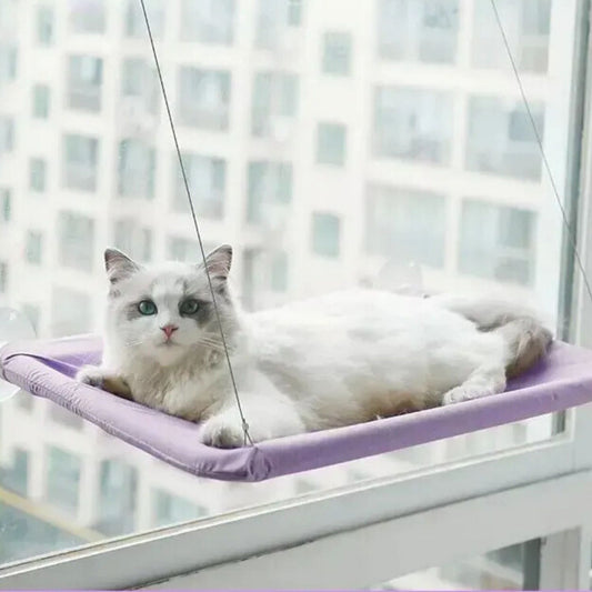 zuignap kattenhangmat witte kat op paarse hangmat aan raam geschikt voor alle leeftijden