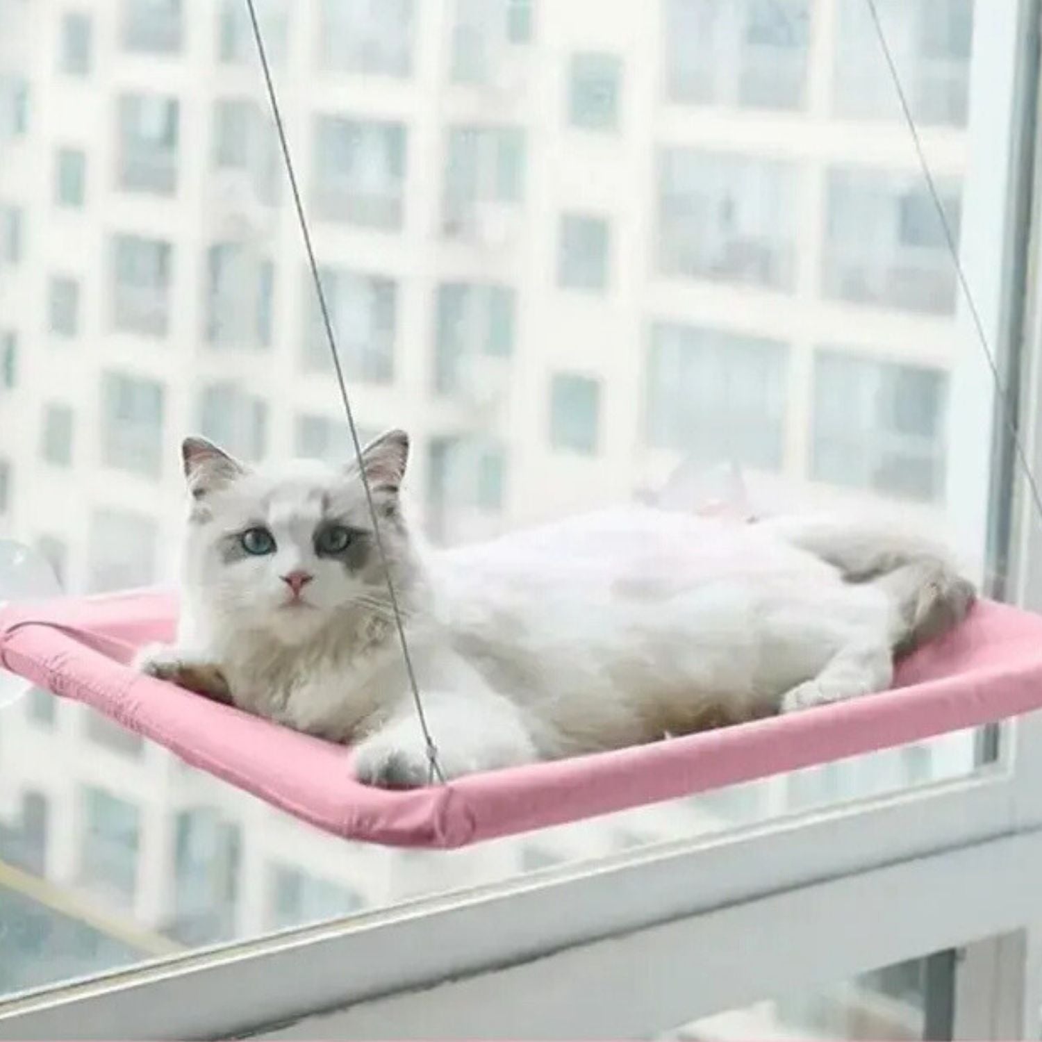 zuignap kattenhangmat witte kat op roze hangmat voor raam zacht duurzaam en ademend