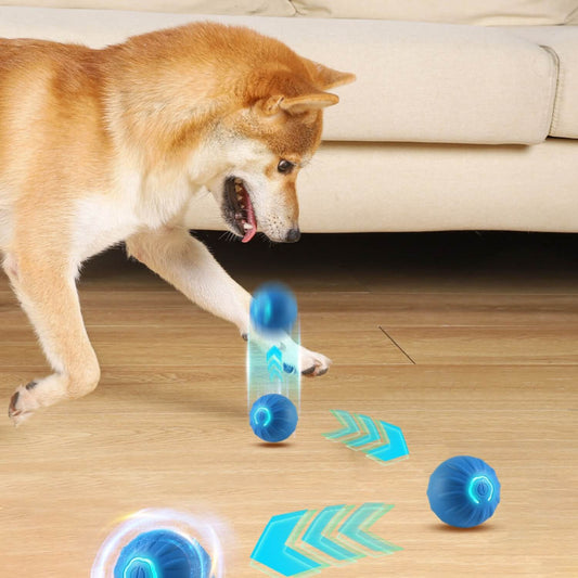 zwaartekracht springende hond bal hond spelen